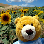 05 01 Mini Portraits